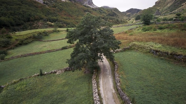 Video Reference: Natural landscape, Nature, Highland, Mountainous landforms, Valley, Wilderness, Geological phenomenon, Mountain, Mountain pass, Hill station