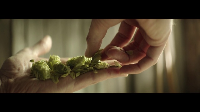 Video Reference: Hand, Leaf, Plant, Flower, Floral design, Photography, Finger, Still life photography