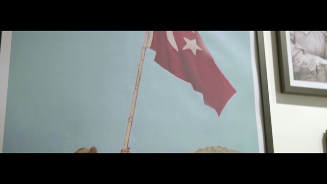 Video Reference: Flag, Pink, Wall, Line, Illustration, Umbrella, Art