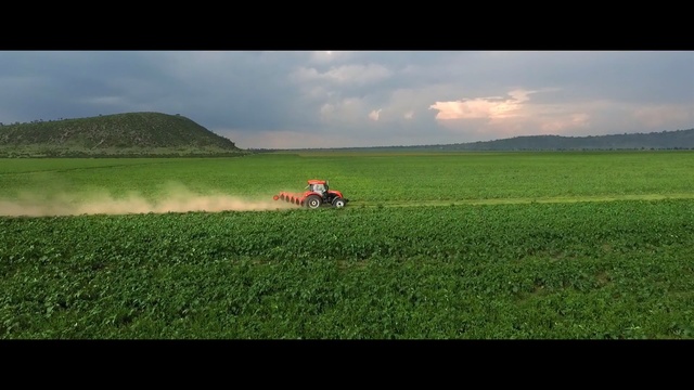 Video Reference: Grassland, Field, Farm, Plain, Grass, Pasture, Natural environment, Agriculture, Rural area, Land lot