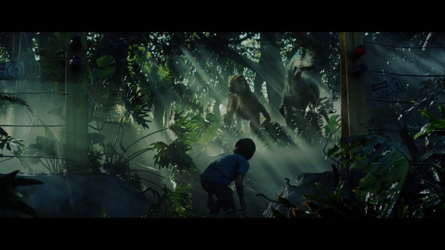Video Reference: Nature, Natural environment, Jungle, Vegetation, Forest, Darkness, Screenshot, Biome, Digital compositing, Rainforest