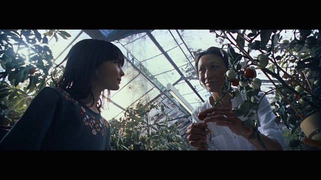 Video Reference: Snapshot, Tree, Adaptation, Human, Organism, Photography, Headgear, Plant, Smile, Screenshot