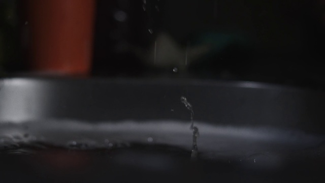 Video Reference: Water, Black, Darkness, Drop, Light, Still life photography, Atmosphere, Photography, Macro photography, Close-up