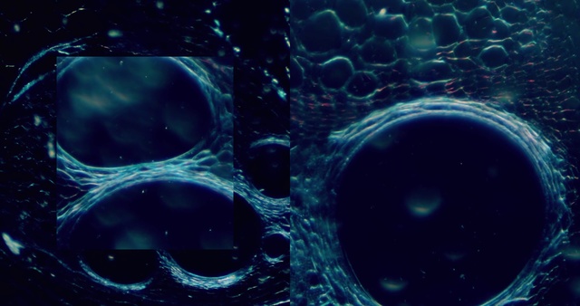 Video Reference: Blue, Water, Close-up, Pattern, Design, Circle, Photography, Electric blue