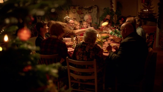 Video Reference: Crowd, Lighting, Event, Fun, Night, Restaurant, Interior design, Christmas, Audience, Meal