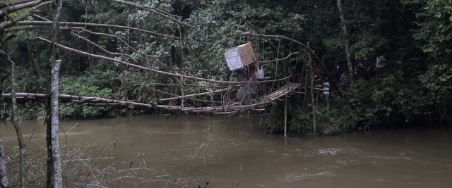 Video Reference: Nature, Water, Natural environment, Nature reserve, Jungle, Bayou, Biome, Rainforest, Bank, Forest