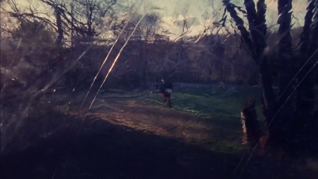 Video Reference: forest, tree, geological phenomenon, sky, atmosphere, screenshot, sunlight, landscape, mountain, adventure