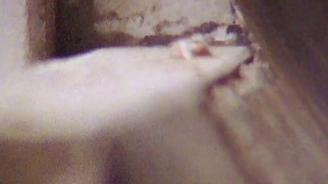 Video Reference: Skin, Eyebrow, Nose, Joint, Hand, Mouth, Flesh, Leg, Neck, Stain