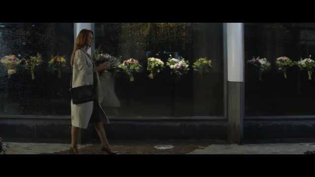 Video Reference: photograph, flower, darkness, plant, girl, photography, tree, screenshot, human, sunlight