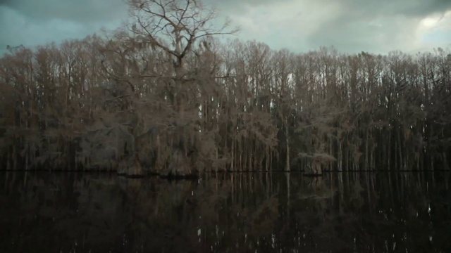 Video Reference: Nature, Water, Atmospheric phenomenon, Bank, Natural landscape, Bayou, Natural environment, Tree, Reflection, Swamp