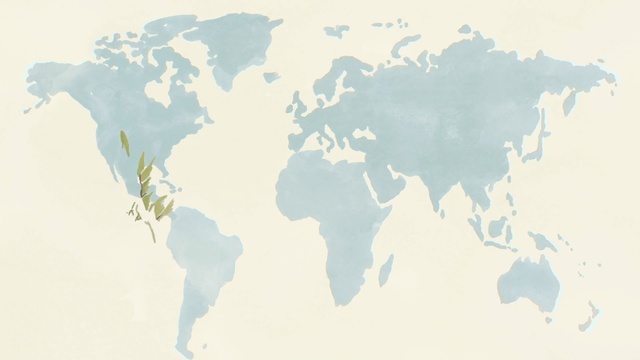 Video Reference: sky, world, water, earth, computer wallpaper, Person