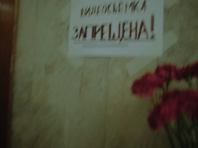 Video Reference: Text, Red, Brown, Wall, Font, Room, Wood, Plant, Flower, Handwriting