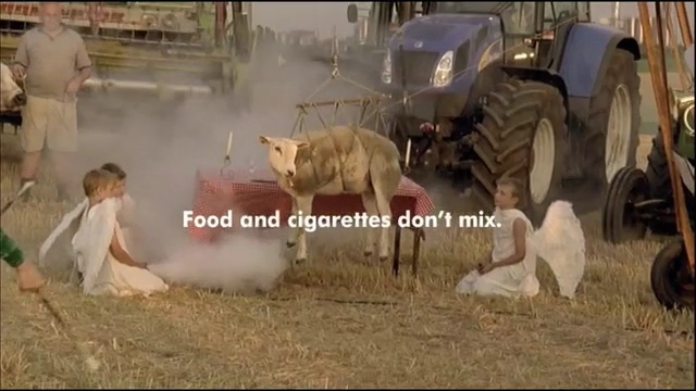 Video Reference: hay, cattle like mammal, herd, livestock, pack animal, grass family