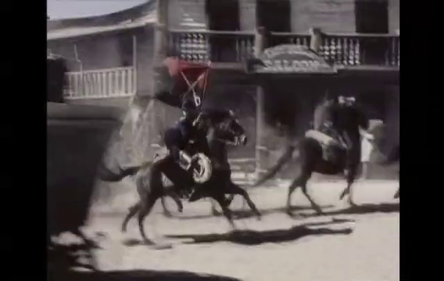 Video Reference: Horse, Mammal, Vertebrate, Bridle, Animal sports, Halter, Horse harness, Horse tack, Rein, Stallion