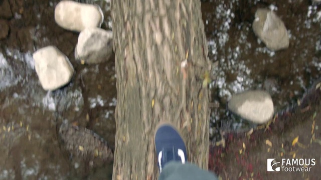 Video Reference: Tree, Footwear, Leg, Organism, Trunk, Shoe, Plant