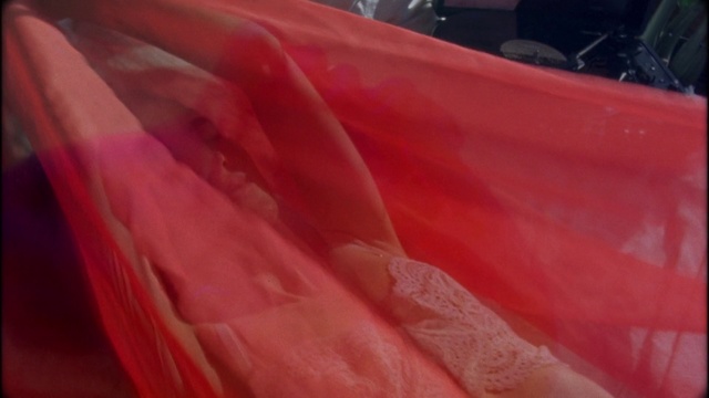 Video Reference: Red, Pink, Textile, Close-up, Peach