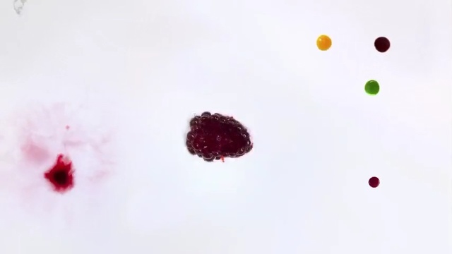 Video Reference: Red, Pink, Plant, Petal, Berry, Magenta