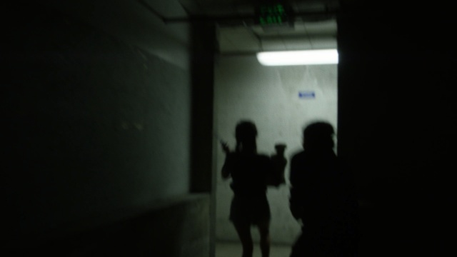 Video Reference: black, photograph, green, darkness, light, snapshot, shadow, night, midnight, fun