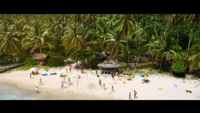 Video Reference: nature, ecosystem, water, leisure, flora, tree, plant, arecales, palm tree, vacation
