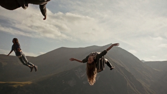 Video Reference: rock crab, crab, arthropod, crustacean