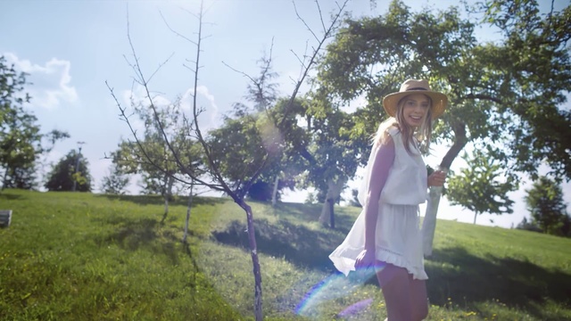 Video Reference: Photograph, Nature, Tree, Grass, Spring, Leaf, Summer, Meadow, Grass family, Photography