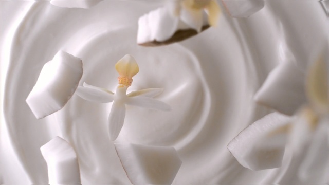 Video Reference: White, Meringue, Petal, Cream, Food, Dairy, Plant, Cuisine, Icing, Whipped cream