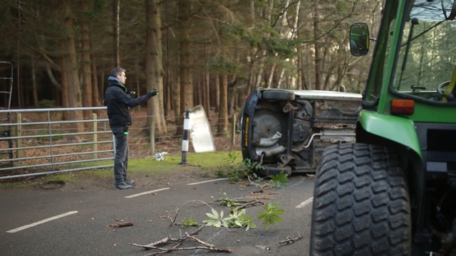 Video Reference: car, vehicle, tree, motor vehicle, woody plant, transport, asphalt, plant, road, automotive tire, Person