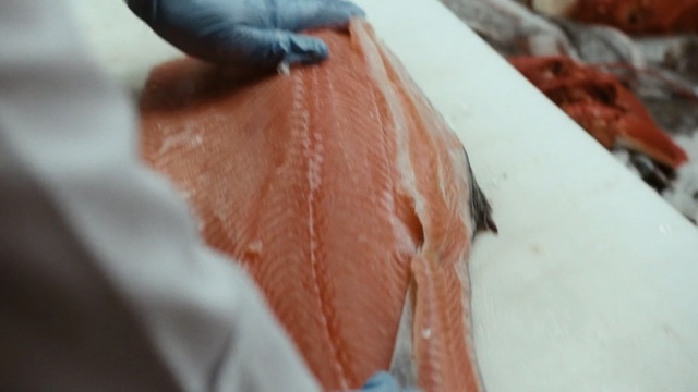 Video Reference: Smoked salmon, Seafood, Fish, Food, Flesh, Hand, Fish, Cuisine, Salmon, Lox