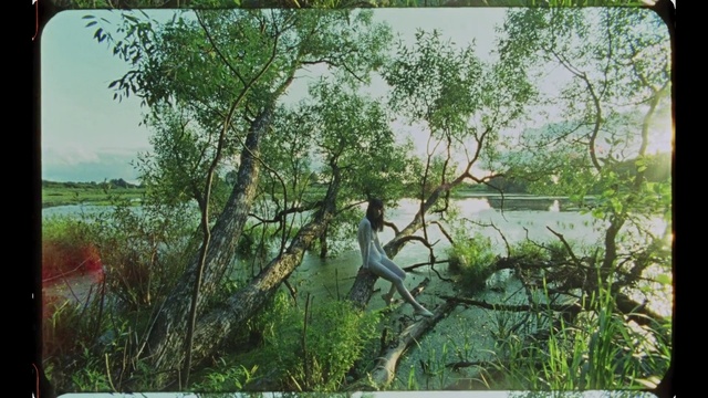 Video Reference: Nature, Vegetation, Tree, Nature reserve, Natural environment, Natural landscape, Plant, Wetland, Bank, Swamp, Outdoor, Window, Building, Sitting, Front, View, Standing, Walking, Green, Giraffe, Table, Large, Water, Forest, Bench, Street, Bird, Field, Vase, Zoo, Bus, White, Enclosure, Train, Sky