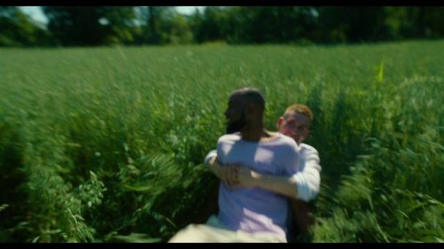 Video Reference: People in nature, Photograph, Nature, Romance, Grass, Meadow, Love, Grass family, Prairie, Photography