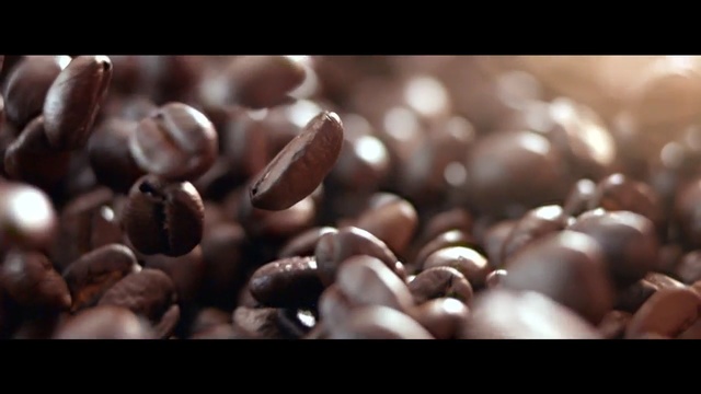 Video Reference: Chocolate, Food, Bean, Chocolate-covered coffee bean, Plant