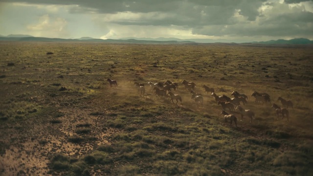Video Reference: Grassland, Natural environment, Plain, Sky, Steppe, Ecoregion, Tundra, Natural landscape, Savanna, Grass