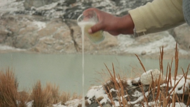 Video Reference: Grass family, Water, Grass, Adaptation, Geology, Geological phenomenon, Landscape, Plant