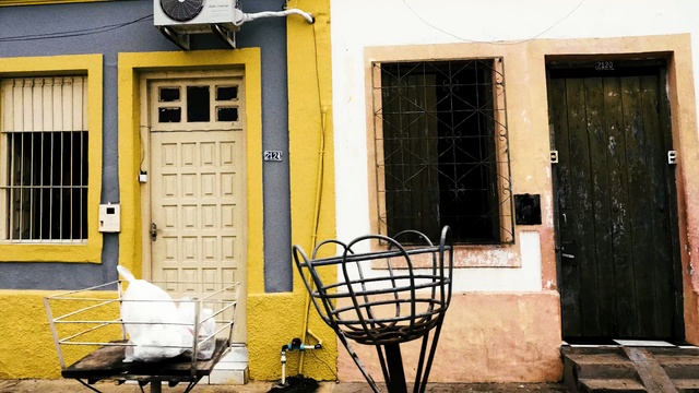 Video Reference: Yellow, Wall, Door, House, Window, Home, Room, Home door, Building, Chair