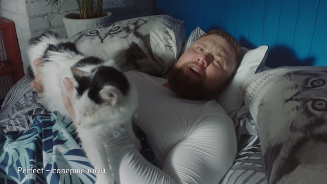 Video Reference: Nap, Canidae, Sleep, Companion dog, Carnivore, Cat, Fur