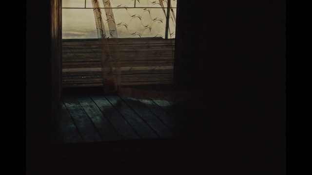 Video Reference: Wood, Window, Flooring, Rectangle, Tints and shades, Hardwood, Darkness, Door, Glass, Sky