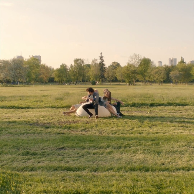 Video Reference: Pasture, Grassland, Horse, Grass, Meadow, Ecoregion, Field, Recreation, Bridle, Fun