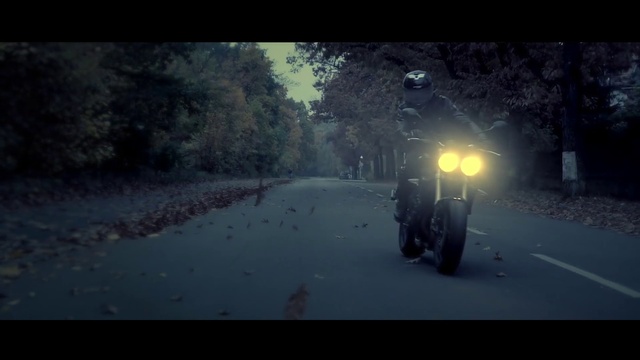 Video Reference: Mode of transport, Atmospheric phenomenon, Atmosphere, Morning, Darkness, Vehicle, Digital compositing, Screenshot, Tree, Asphalt