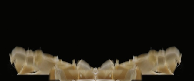 Video Reference: Jaw, Tooth, Mouth, Photography, Fashion accessory, Indoor, Table, Cup, Animal, Cake, Food, Sitting, Glasses, Front, Plate, Topped, Filled, Glass, White, Wine, Display, Invertebrate, Amphipod