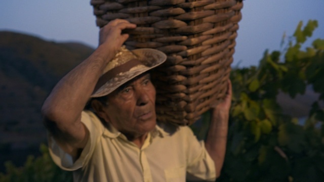 Video Reference: Headgear, Adaptation