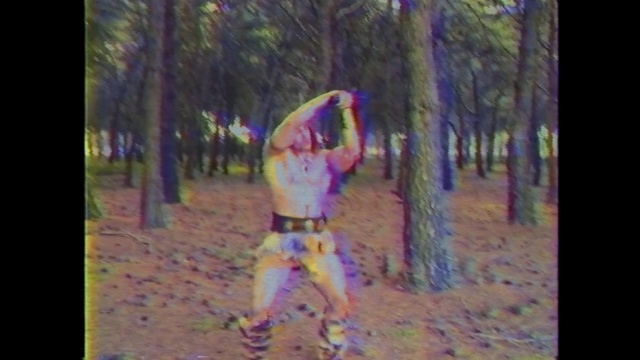 Video Reference: Woodland, Photograph, Tree, Nature, Natural environment, Forest, Fun, Snapshot, Woody plant, Photography, Person