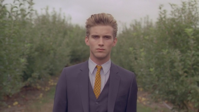 Video Reference: suit, man, gentleman, tree, plant, grass, white collar worker, Person
