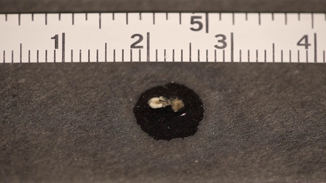 Video Reference: Text, Font