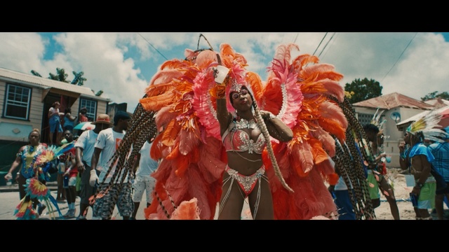 Video Reference: Carnival, Festival, Public event, Event, Tradition, Organism, Fun, Plant, World, Parade