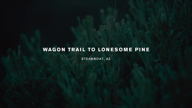 Video Reference: Green, Nature, Text, Black, Vegetation, Font, Grass, Turquoise, Organism, Darkness