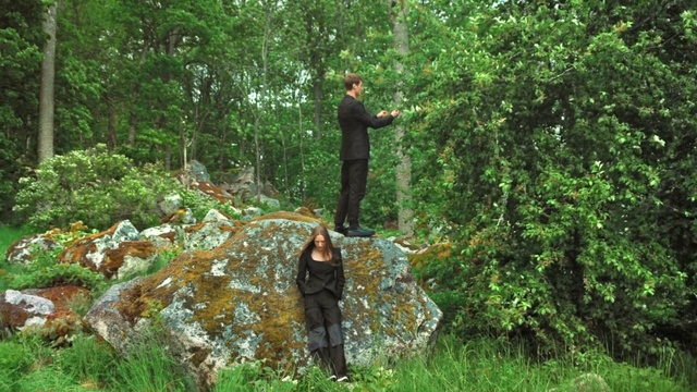 Video Reference: Natural environment, Nature reserve, Forest, Tree, Vegetation, Old-growth forest, Natural landscape, Woodland, Wilderness, Jungle