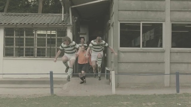 Video Reference: vertebrate, mode of transport, horse like mammal, horse, race, horse supplies, horse harness, recreation, stallion, stable