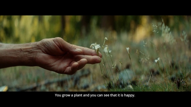 Video Reference: People in nature, Nature, Hand, Adaptation, Grass family, Finger, Grass, Human, Photography, Plant