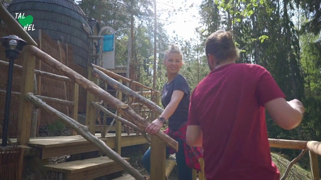 Video Reference: Natural environment, Tree, Community, Leisure, Jungle, Forest, Recreation, Plant, Style, Playground