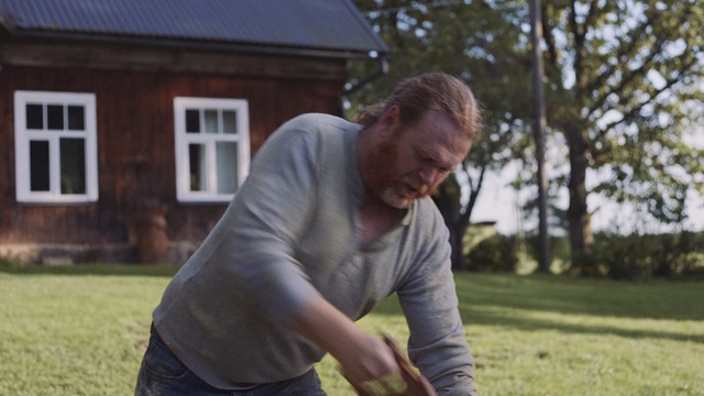 Video Reference: Lawn, Grass, Fun, Tree, Recreation, Games